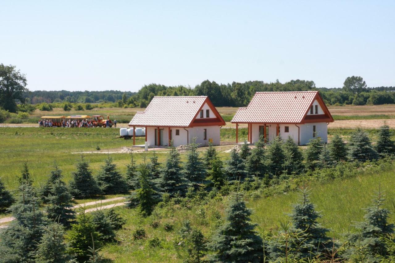 Wygodny Murowany Domek- Nowy Домбки Экстерьер фото
